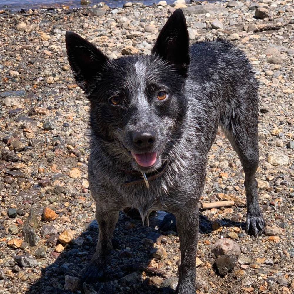 Meet your Posher, Andi